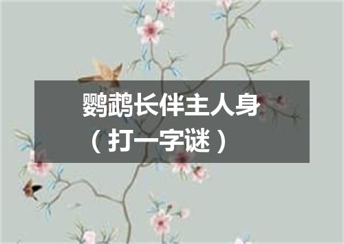鹦鹉长伴主人身（打一字谜）