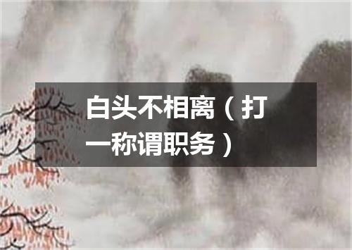 白头不相离（打一称谓职务）