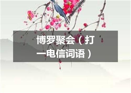 博罗聚会（打一电信词语）
