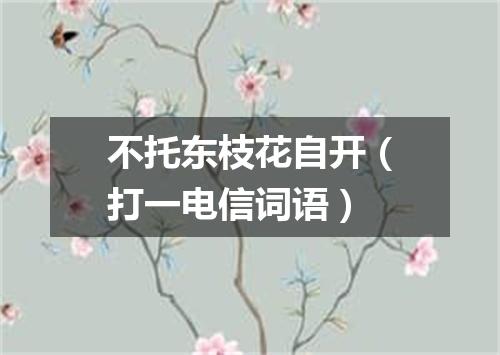 不托东枝花自开（打一电信词语）