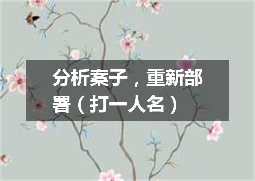 分析案子，重新部署（打一人名）