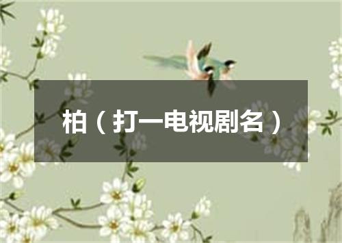 柏（打一电视剧名）