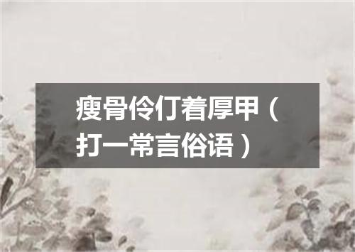 瘦骨伶仃着厚甲（打一常言俗语）