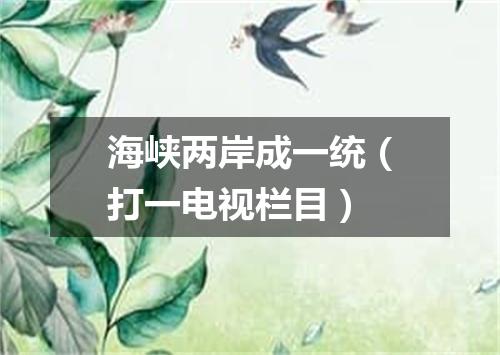 海峡两岸成一统（打一电视栏目）