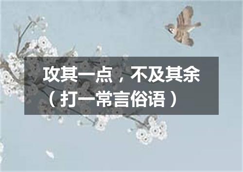 攻其一点，不及其余（打一常言俗语）