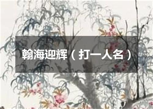 翰海迎辉（打一人名）