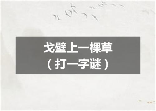 戈壁上一棵草（打一字谜）