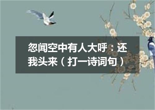 忽闻空中有人大呼：还我头来（打一诗词句）