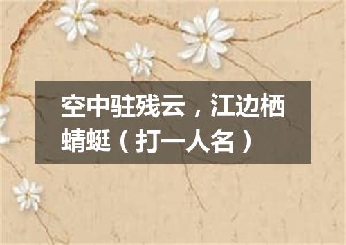 空中驻残云，江边栖蜻蜓（打一人名）