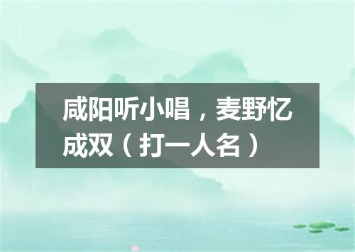 咸阳听小唱，麦野忆成双（打一人名）