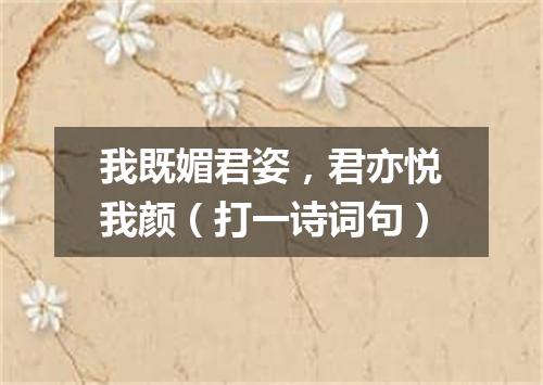 我既媚君姿，君亦悦我颜（打一诗词句）