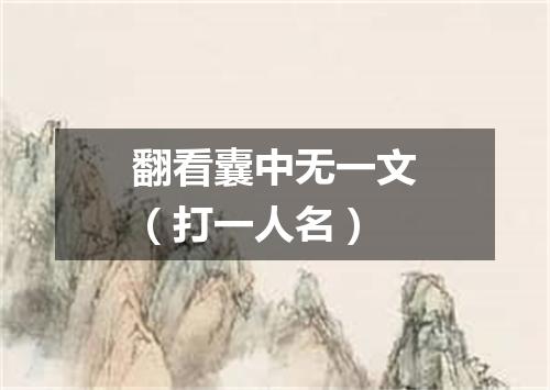 翻看囊中无一文（打一人名）