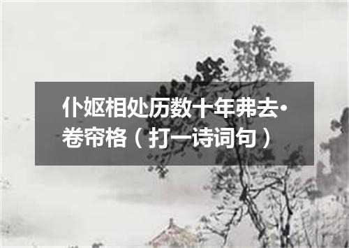 仆妪相处历数十年弗去·卷帘格（打一诗词句）