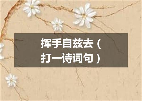挥手自兹去（打一诗词句）