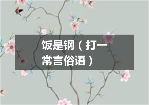 饭是钢（打一常言俗语）