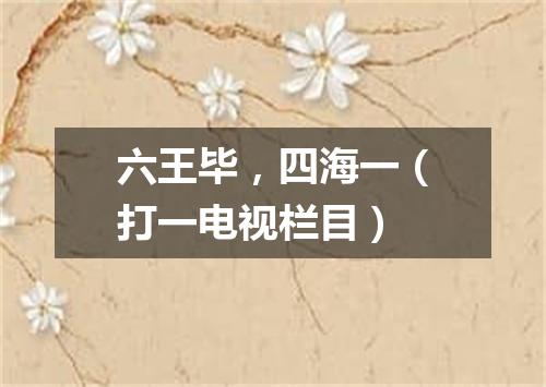 六王毕，四海一（打一电视栏目）