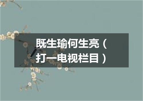 既生瑜何生亮（打一电视栏目）