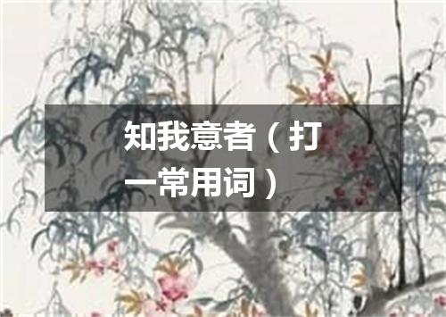 知我意者（打一常用词）