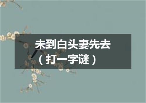 未到白头妻先去（打一字谜）