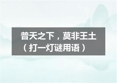 普天之下，莫非王土（打一灯谜用语）