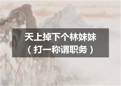 天上掉下个林妹妹（打一称谓职务）