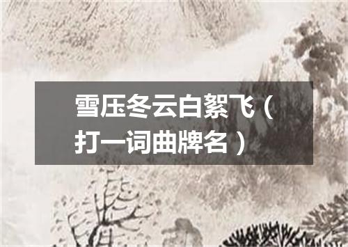 雪压冬云白絮飞（打一词曲牌名）