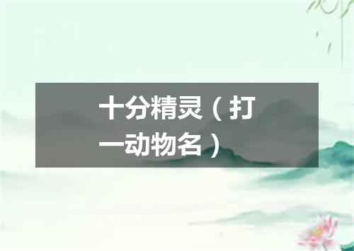 十分精灵（打一动物名）