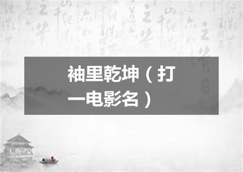 袖里乾坤（打一电影名）