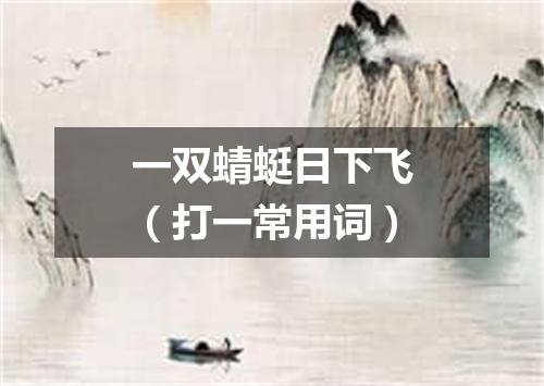 一双蜻蜓日下飞（打一常用词）