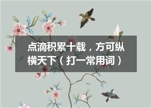 点滴积累十载，方可纵横天下（打一常用词）