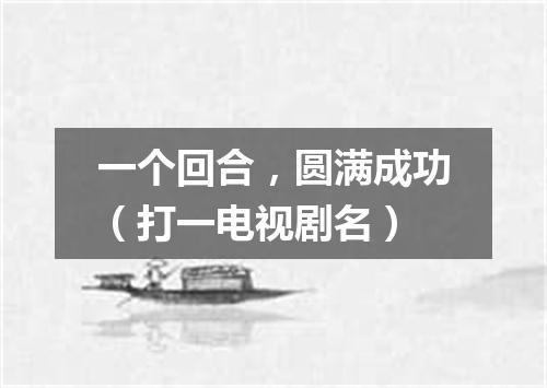 一个回合，圆满成功（打一电视剧名）
