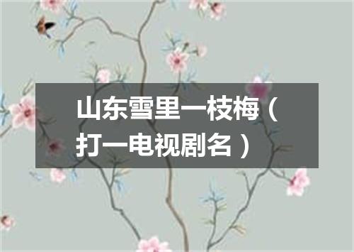 山东雪里一枝梅（打一电视剧名）