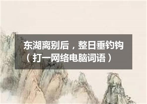 东湖离别后，整日垂钓钩（打一网络电脑词语）