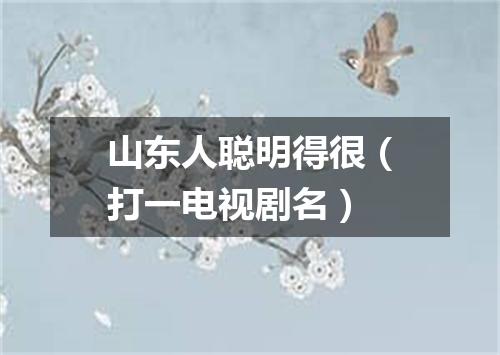 山东人聪明得很（打一电视剧名）