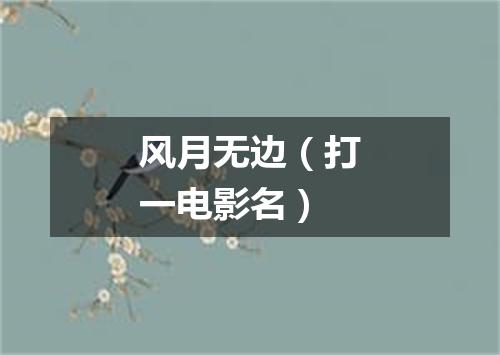 风月无边（打一电影名）