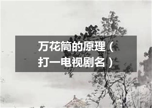 万花筒的原理（打一电视剧名）