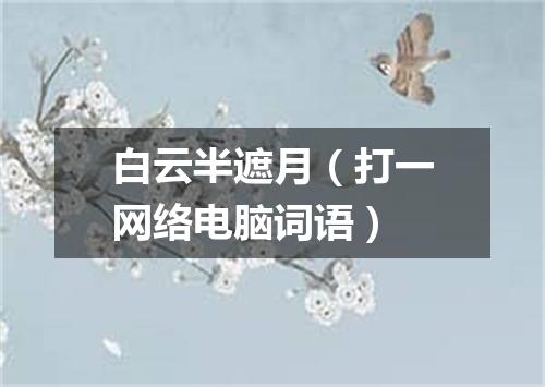 白云半遮月（打一网络电脑词语）