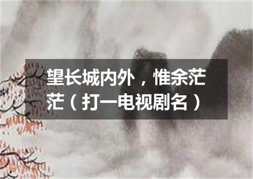 望长城内外，惟余茫茫（打一电视剧名）