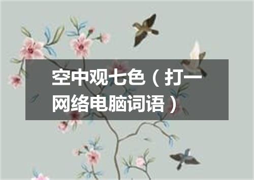 空中观七色（打一网络电脑词语）