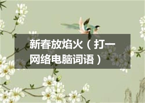 新春放焰火（打一网络电脑词语）
