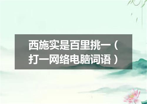 西施实是百里挑一（打一网络电脑词语）