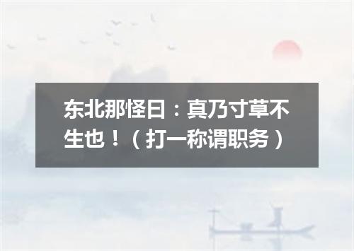 东北那怪曰：真乃寸草不生也！（打一称谓职务）