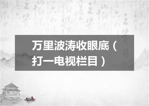 万里波涛收眼底（打一电视栏目）