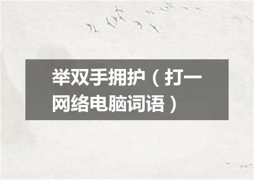 举双手拥护（打一网络电脑词语）