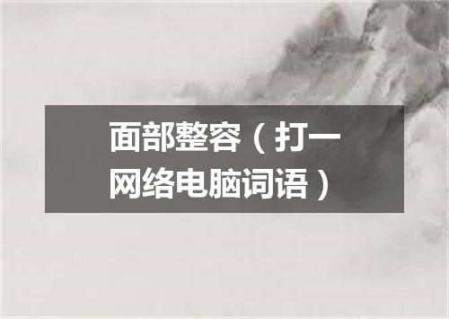 面部整容（打一网络电脑词语）