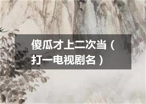 傻瓜才上二次当（打一电视剧名）