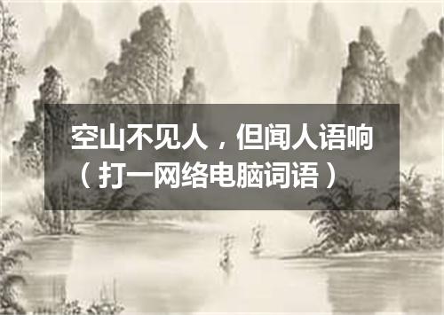空山不见人，但闻人语响（打一网络电脑词语）