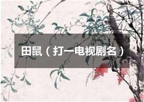 田鼠（打一电视剧名）