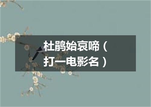 杜鹃始哀啼（打一电影名）