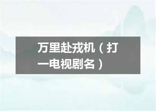 万里赴戎机（打一电视剧名）